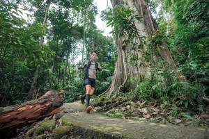 BIB: 
                            <button type="button" onclick="openModal(24809536)" class="btn btn-primary btn-sm float-right btn-popup" data-toggle="modal" data-target=".modal-high-quality">
                        <i class="fas fa-shopping-cart"></i> Add to Cart
                    </button>
                                            <button type="button" onclick="isThisMe(24809536, true)" class="btn btn-success btn-sm float-right btn-popup btn-isme hidden" data-toggle="tooltip" data-placement="bottom" title="นี่คือรูปของคุณใช่ไหม คลิกที่นี่เพื่อเอาเข้าอัลบั้ม">
                        <i class="fas fa-plus"></i> Add to album
                    </button>
                    <button type="button" onclick="isThisMe(24809536, false)" class="btn btn-warning btn-sm float-right btn-popup btn-isnotme hidden">
                        <i class="fas fa-ban"></i> Remove from album
                    </button>